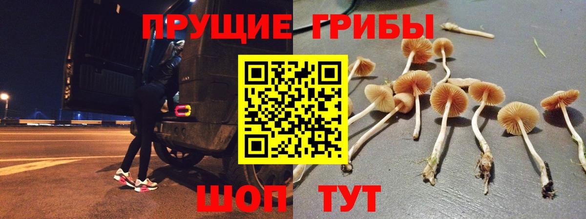Галлюциногенные грибы мухоморы  Вход с VPN  Спасск-Дальний 
