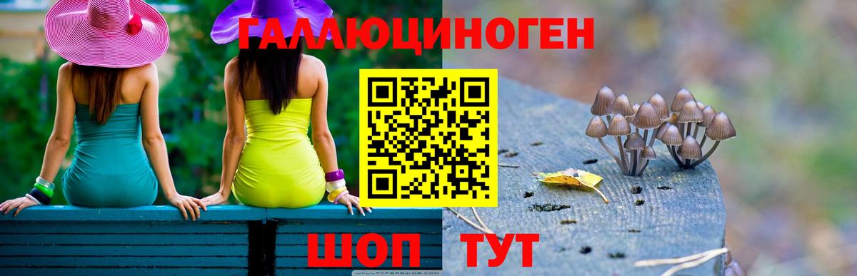 Галлюциногенные грибы мухоморы Спасск-Дальний